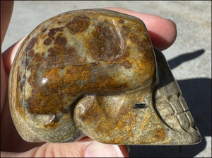 Lg. Nguni Jasper CRYSTAL SKULL - Connect with Mother Earth - with Synergy 5+ years