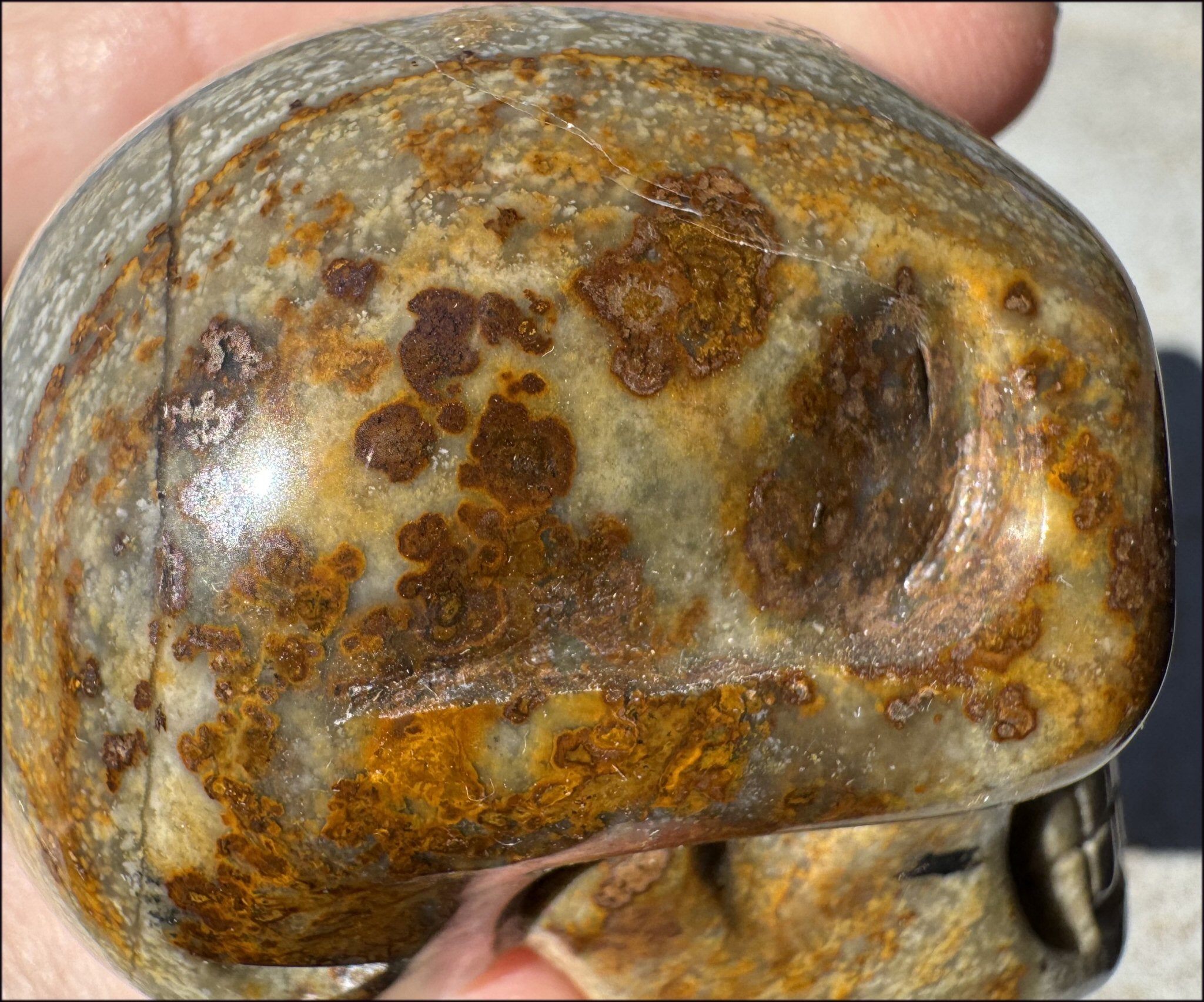 Lg. Nguni Jasper CRYSTAL SKULL - Connect with Mother Earth - with Synergy 5+ years