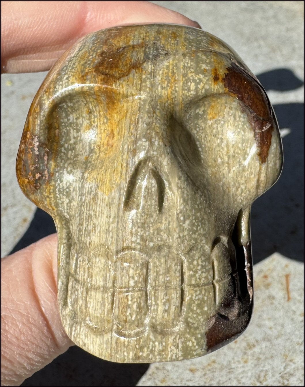 Lg. Nguni Jasper CRYSTAL SKULL - Connect with Mother Earth - with Synergy 5+ years