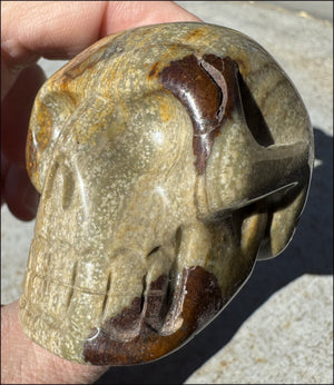 Lg. Nguni Jasper CRYSTAL SKULL - Connect with Mother Earth - with Synergy 5+ years