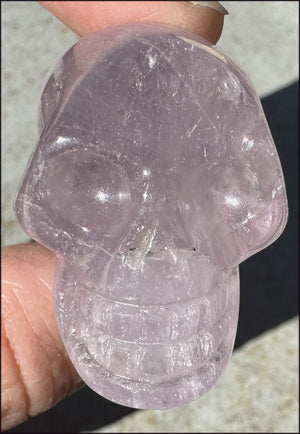 Light Amethyst CRYSTAL SKULL with Hematite - Dream Work - with  Synergy 8+ years