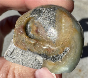 Peruvian BLUE OPAL Crystal Skull LOTS of Pyrite inclusions