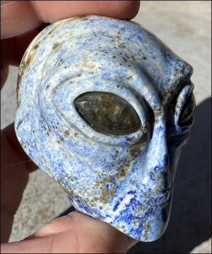 Lapis Lazuli STAR BEING Crystal Skull with Madagascar Labradorite Eyes