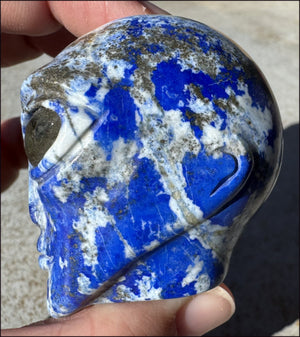 Lapis Lazuli STAR BEING Crystal Skull with Madagascar Labradorite Eyes