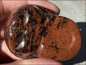 Mahogany Obsidian CRYSTAL SKULL - Eliminate blocks, Root Chakra