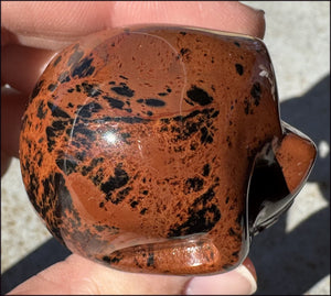 Mahogany Obsidian CRYSTAL SKULL - Eliminate blocks, Root Chakra