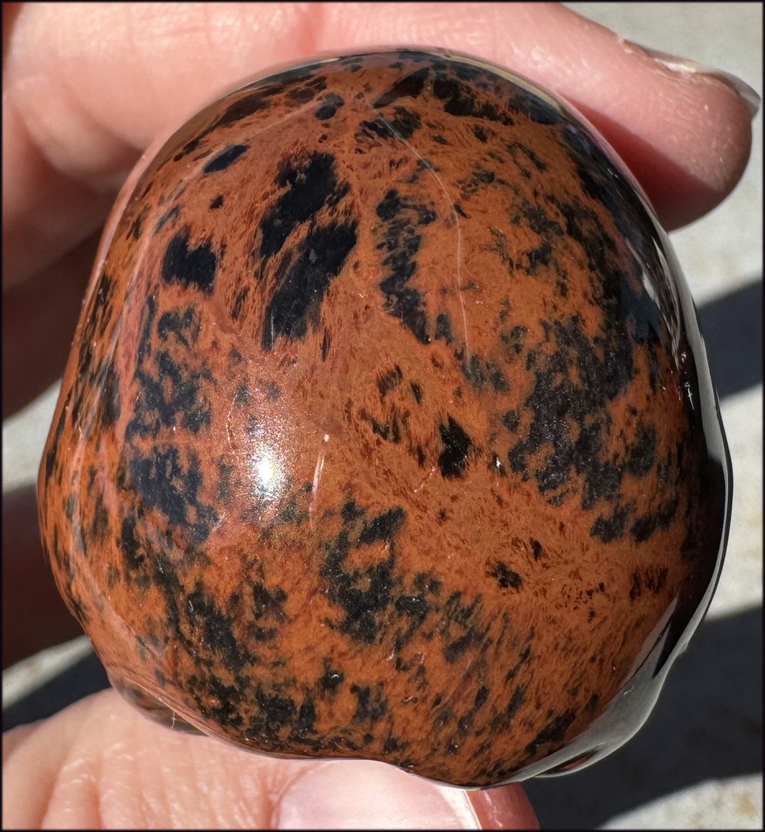 Mahogany Obsidian CRYSTAL SKULL - Eliminate blocks, Root Chakra