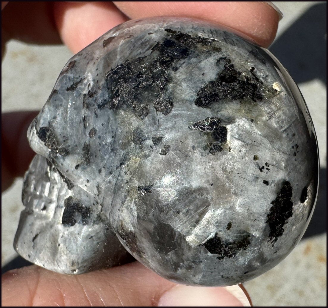 ~Shimmery~ Larvikite Collector's CRYSTAL SKULL - Insight, Reduce Stress