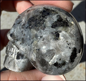 ~Shimmery~ Larvikite Collector's CRYSTAL SKULL - Insight, Reduce Stress