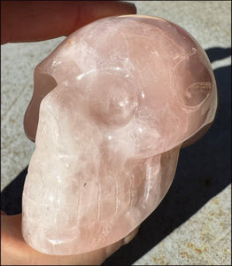 Lg. Rose Quartz ANUNNAKI STYLE Crystal Skull with Hematite - Stone of LOVE