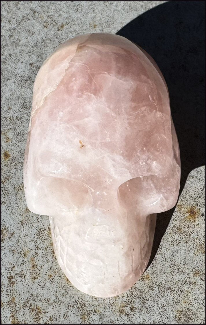 Lg. Rose Quartz ANUNNAKI STYLE Crystal Skull with Hematite - Stone of LOVE