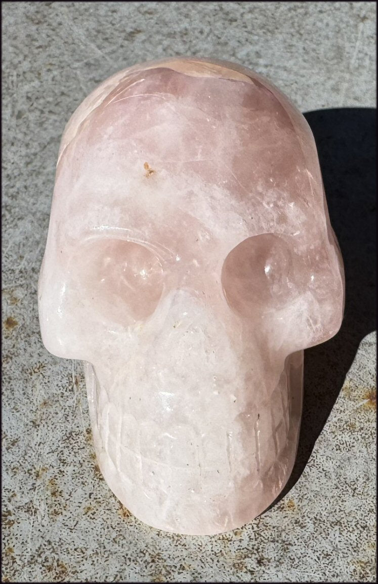 Lg. Rose Quartz ANUNNAKI STYLE Crystal Skull with Hematite - Stone of LOVE