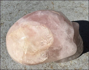 Lg. Rose Quartz ANUNNAKI STYLE Crystal Skull with Hematite - Stone of LOVE