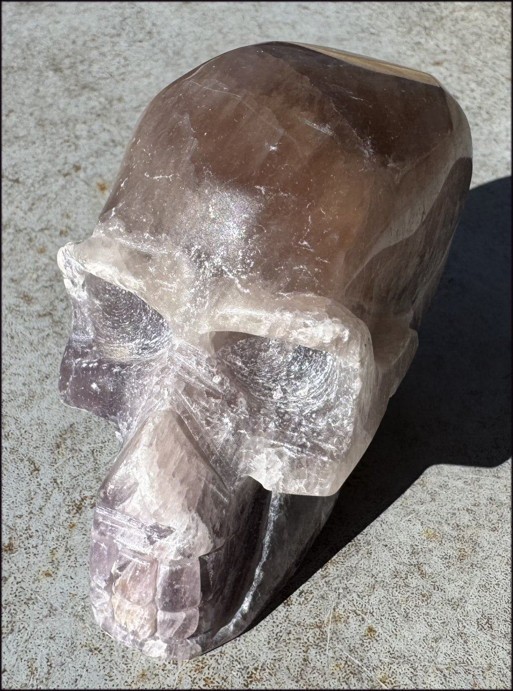 XL Mongolian FLUORITE Crystal Skull - Excellent for meditation!