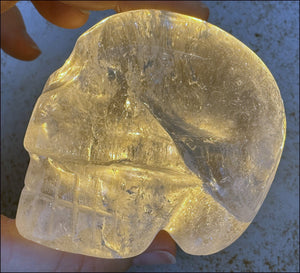 RETIRED XL Quartz Mayan Shaman Style Crystal Skull with Hematite, Shimmery Rainbows