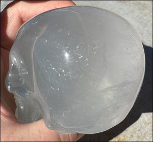 ~Glowing~ XL Pastel FLUORITE Crystal Skull - Excellent for meditation!