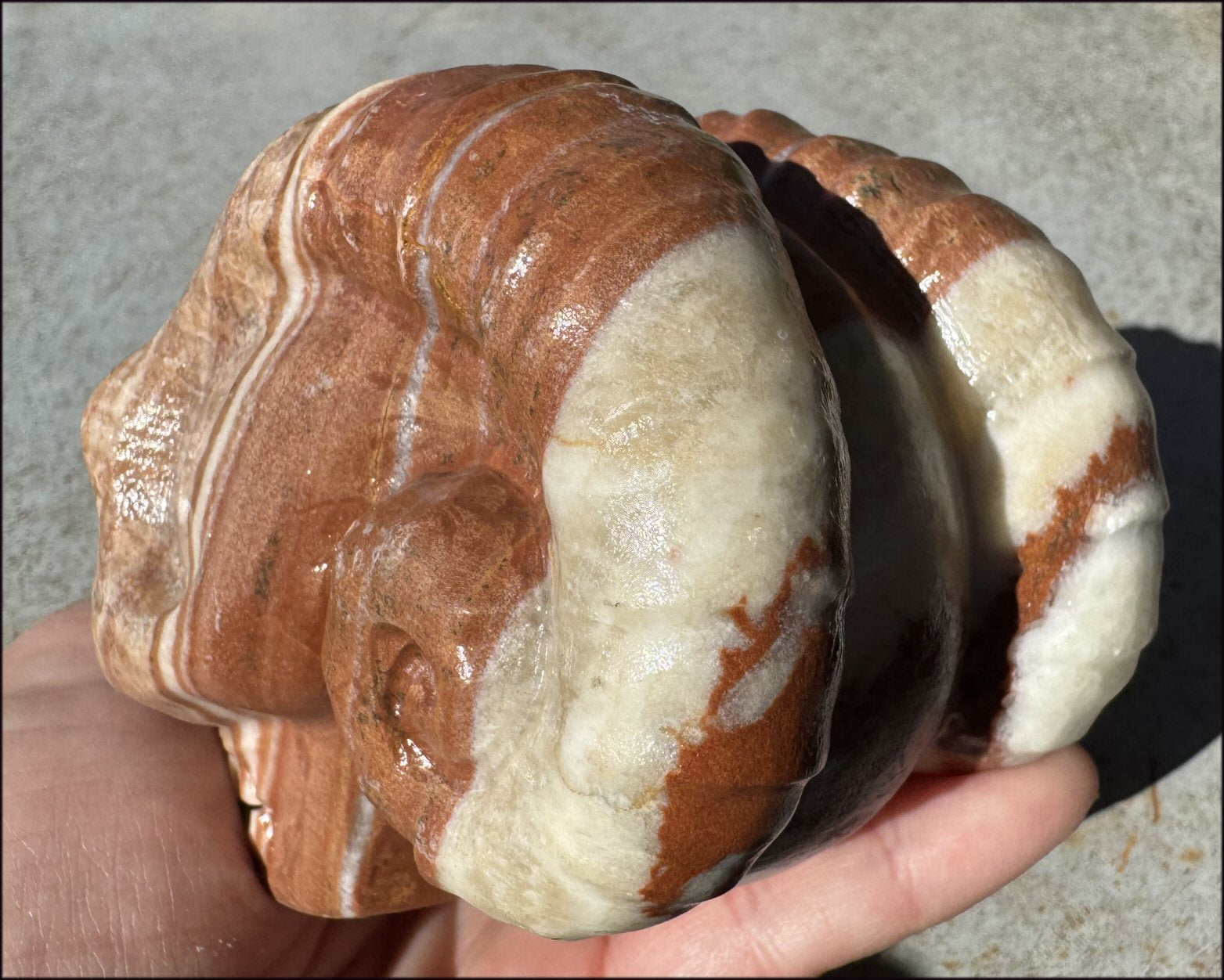 Banded Red + Orange Calcite Ram Skull - Intuition, Inner Strength, Aries!