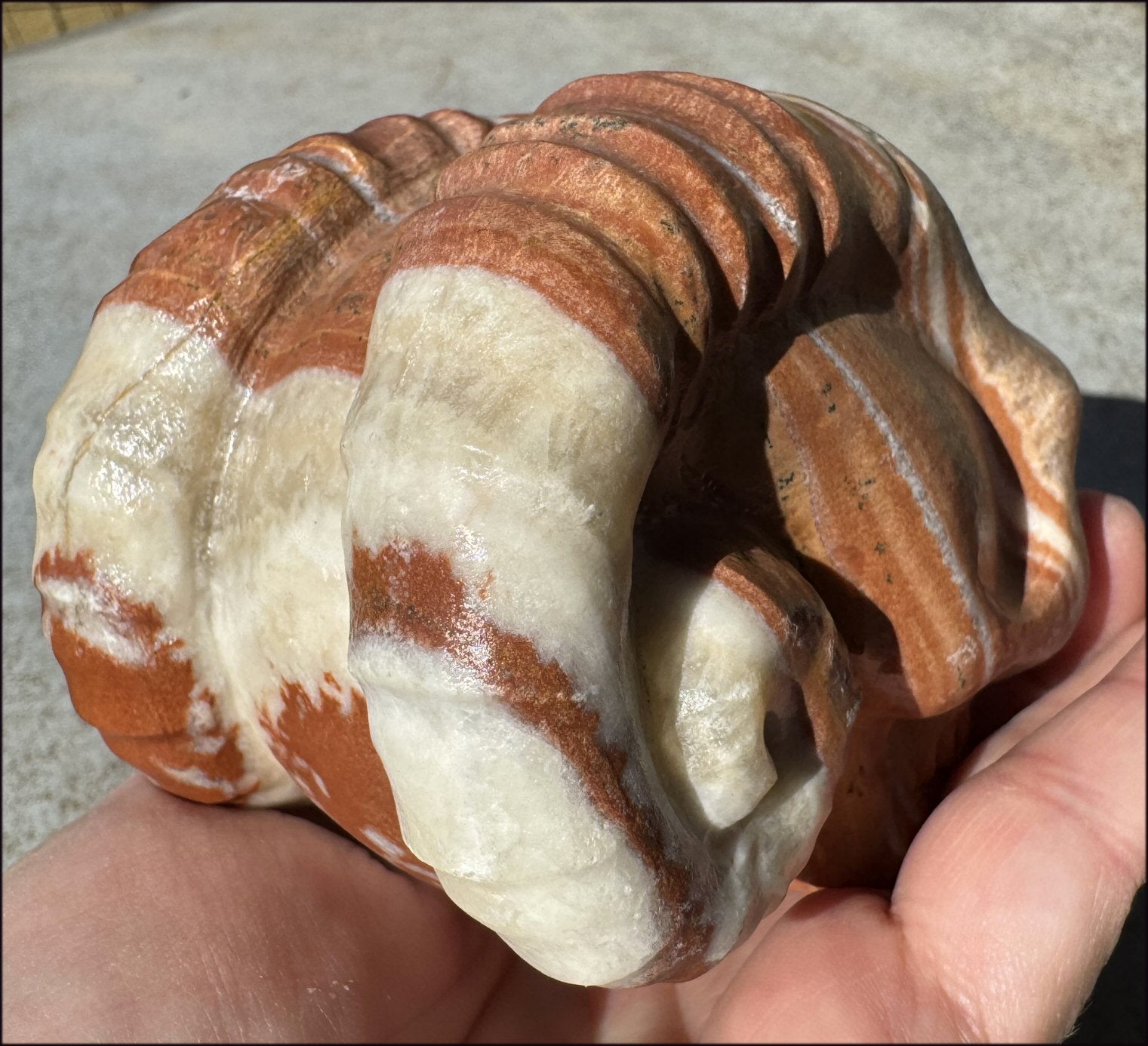 Banded Red + Orange Calcite Ram Skull - Intuition, Inner Strength, Aries!