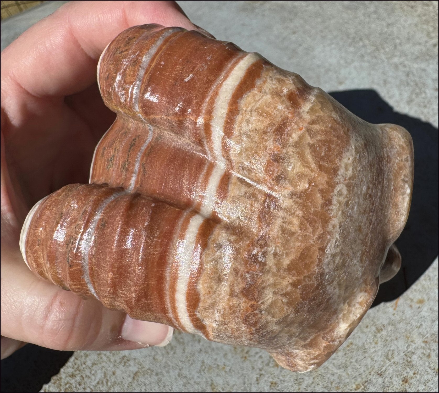 Banded Red + Orange Calcite Ram Skull - Intuition, Inner Strength, Aries!