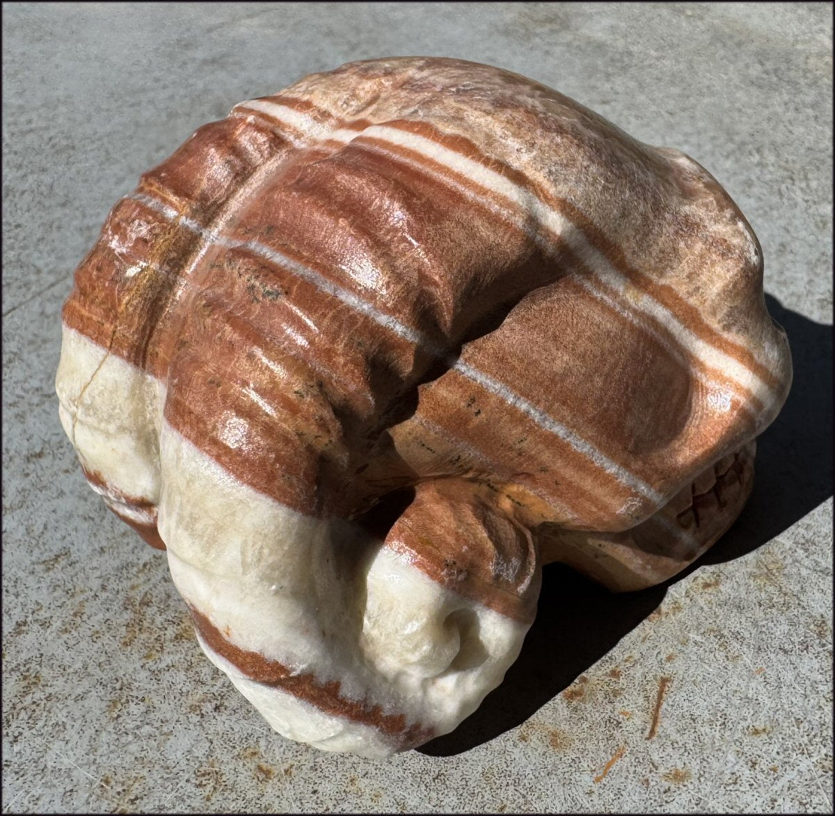 Banded Red + Orange Calcite Ram Skull - Intuition, Inner Strength, Aries!