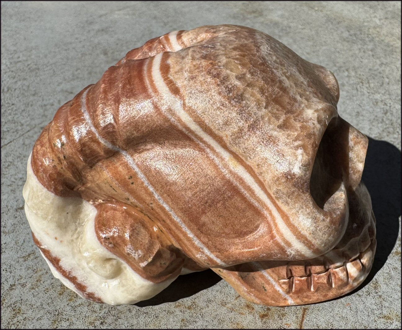 Banded Red + Orange Calcite Ram Skull - Intuition, Inner Strength, Aries!