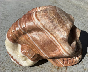 Banded Red + Orange Calcite Ram Skull - Intuition, Inner Strength, Aries!