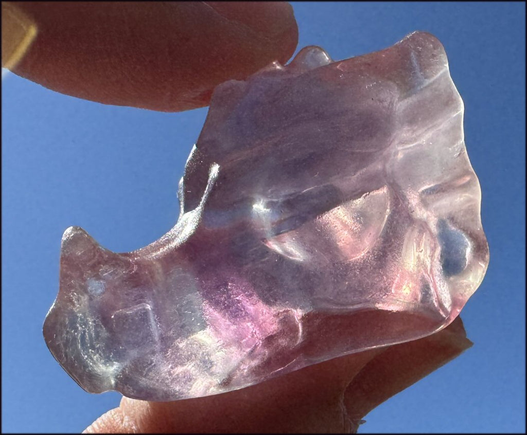 Fluorite Baby DRAGON Crystal Skull - Divination, Meditation