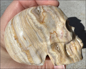 XL Crazy Lace Agate Crystal Skull - Laughter, Balance