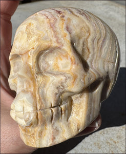 XL Crazy Lace Agate Crystal Skull - Laughter, Balance