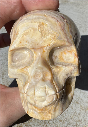 XL Crazy Lace Agate Crystal Skull - Laughter, Balance