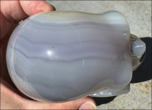 2XL Banded AGATE Crystal Skull - Courage, Inner Harmony