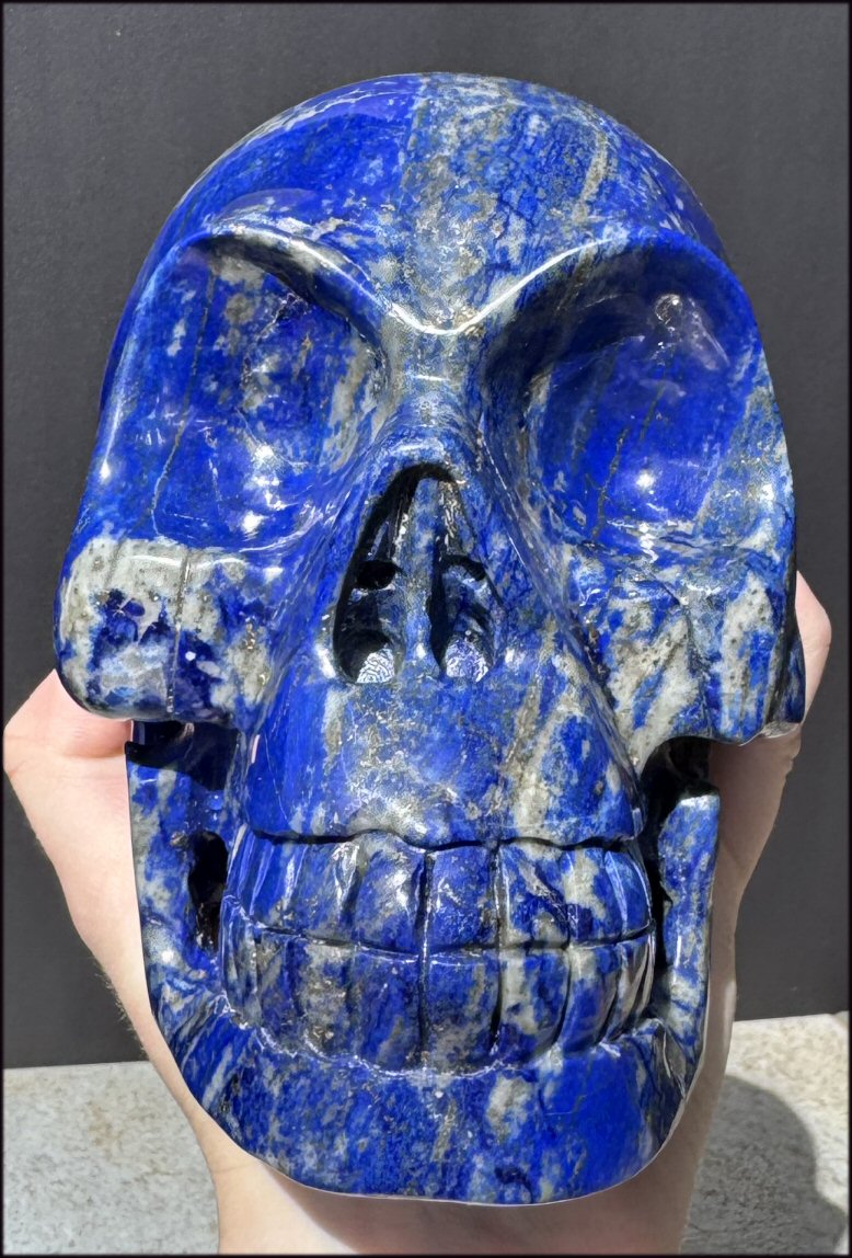 LifeSize Lapis Lazuli Crystal Skull with Highly Fluorescent UV Reactive Calcite inclusions!