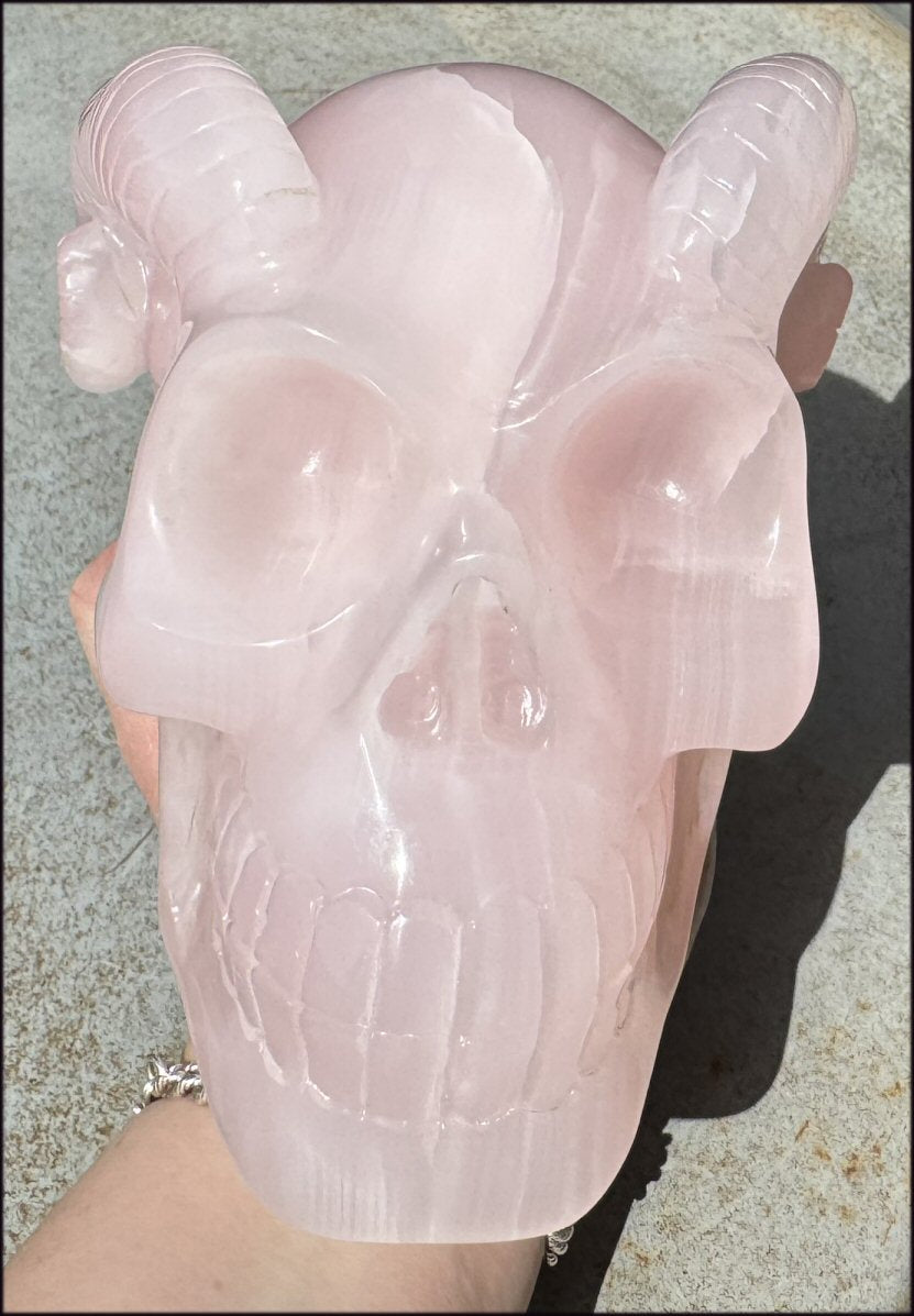 LifeSize Pink Manganoan Calcite RAM Crystal Skull - Highly fluorescent! An excellent addition to a healing practice! - 12lbs+