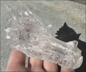 XL Quartz DRAGON Crystal Skull with Hematite, Rainbows - Needs Good Home!