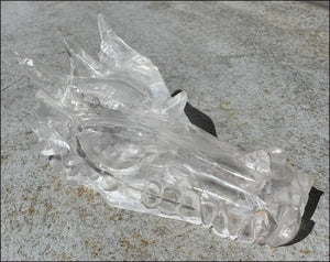 XL Quartz DRAGON Crystal Skull with Hematite, Rainbows - Needs Good Home!