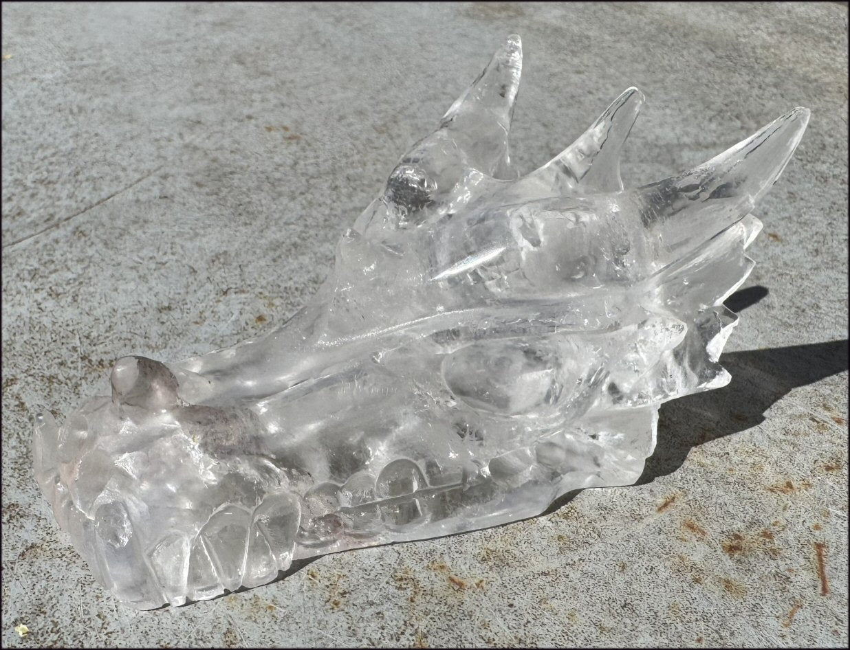 XL Quartz DRAGON Crystal Skull with Hematite, Rainbows - Needs Good Home!