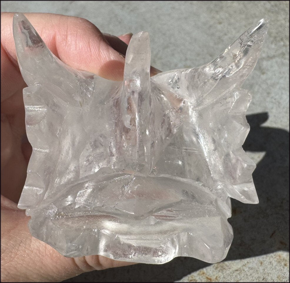 XL Quartz DRAGON Crystal Skull with Hematite, Rainbows - Needs Good Home!