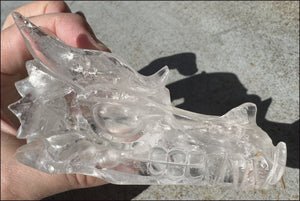 XL Quartz DRAGON Crystal Skull with Hematite, Rainbows - Needs Good Home!