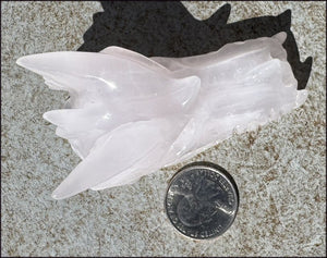 ~Highly Fluorescent~ Pink Manganoan Calcite DRAGON Crystal Skull