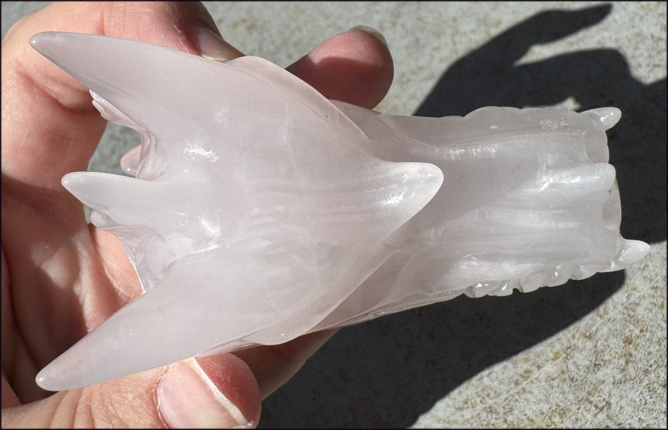 ~Highly Fluorescent~ Pink Manganoan Calcite DRAGON Crystal Skull