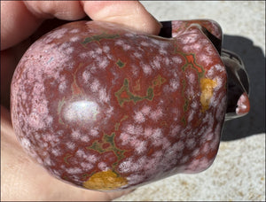 Lg. OCEAN JASPER Crystal Skull - Patience, Connect with the Nature Spirit Kingdom