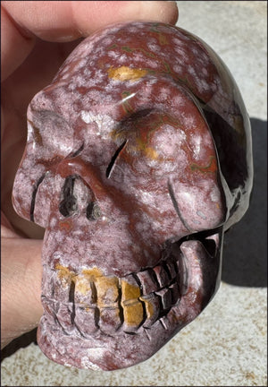 Lg. OCEAN JASPER Crystal Skull - Patience, Connect with the Nature Spirit Kingdom