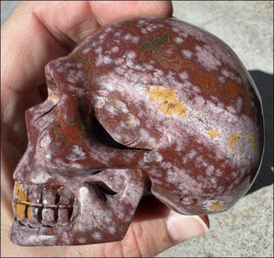 Lg. OCEAN JASPER Crystal Skull - Patience, Connect with the Nature Spirit Kingdom