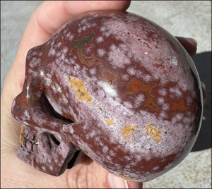 Lg. OCEAN JASPER Crystal Skull - Patience, Connect with the Nature Spirit Kingdom