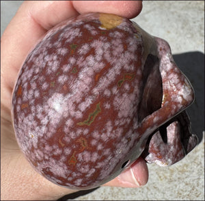 Lg. OCEAN JASPER Crystal Skull - Patience, Connect with the Nature Spirit Kingdom