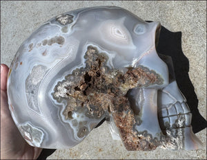 ~OOAK~ LifeSize Plume Agate CRYSTAL SKULL with Vugs, Parallax effect, Fantastic formations - 14lbs+