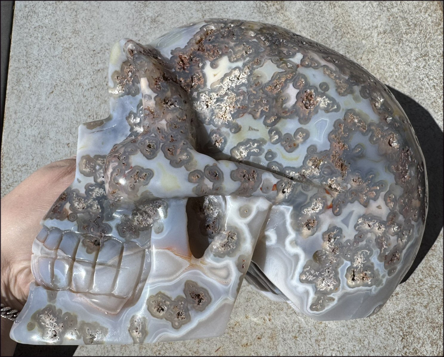 ~OOAK~ LifeSize Plume Agate CRYSTAL SKULL with Vugs, Parallax effect, Fantastic formations - 14lbs+