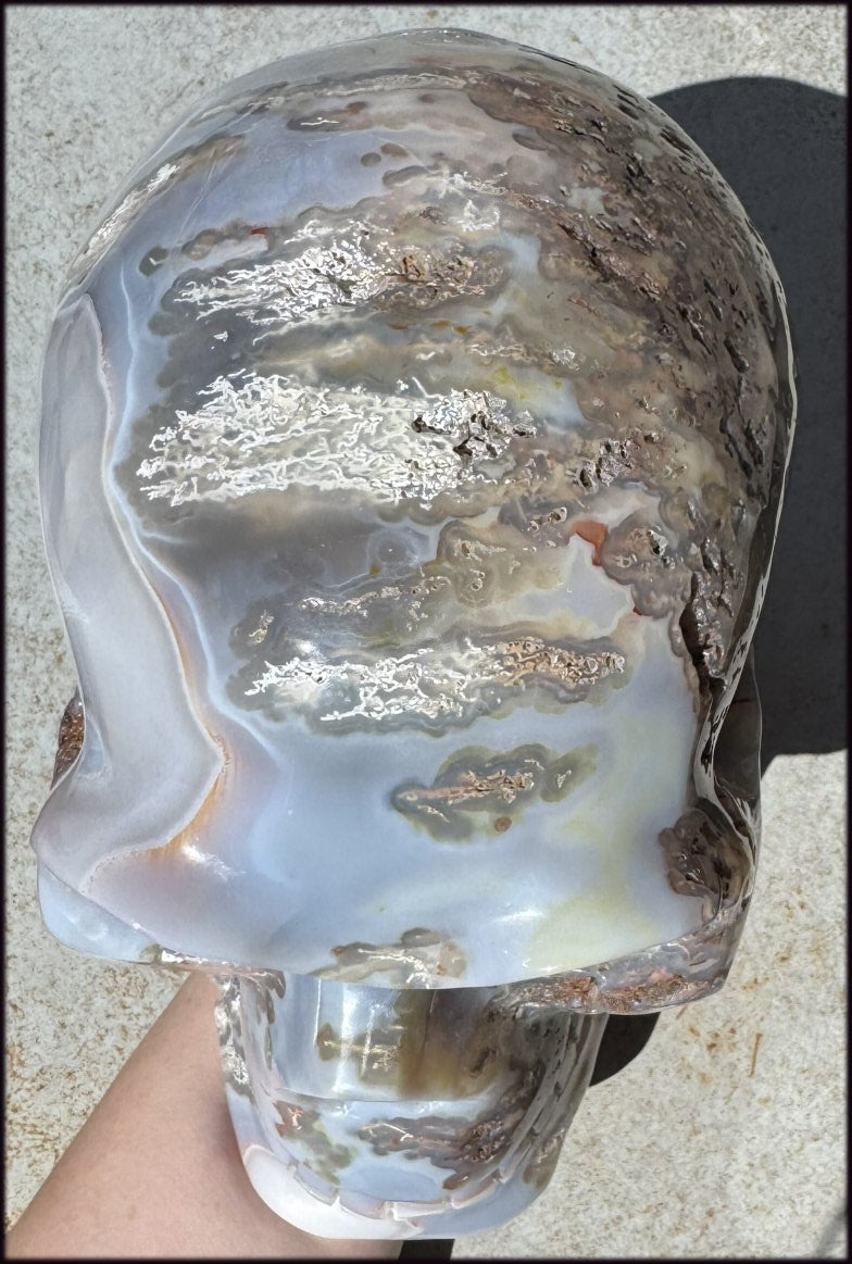 ~OOAK~ LifeSize Plume Agate CRYSTAL SKULL with Vugs, Parallax effect, Fantastic formations - 14lbs+