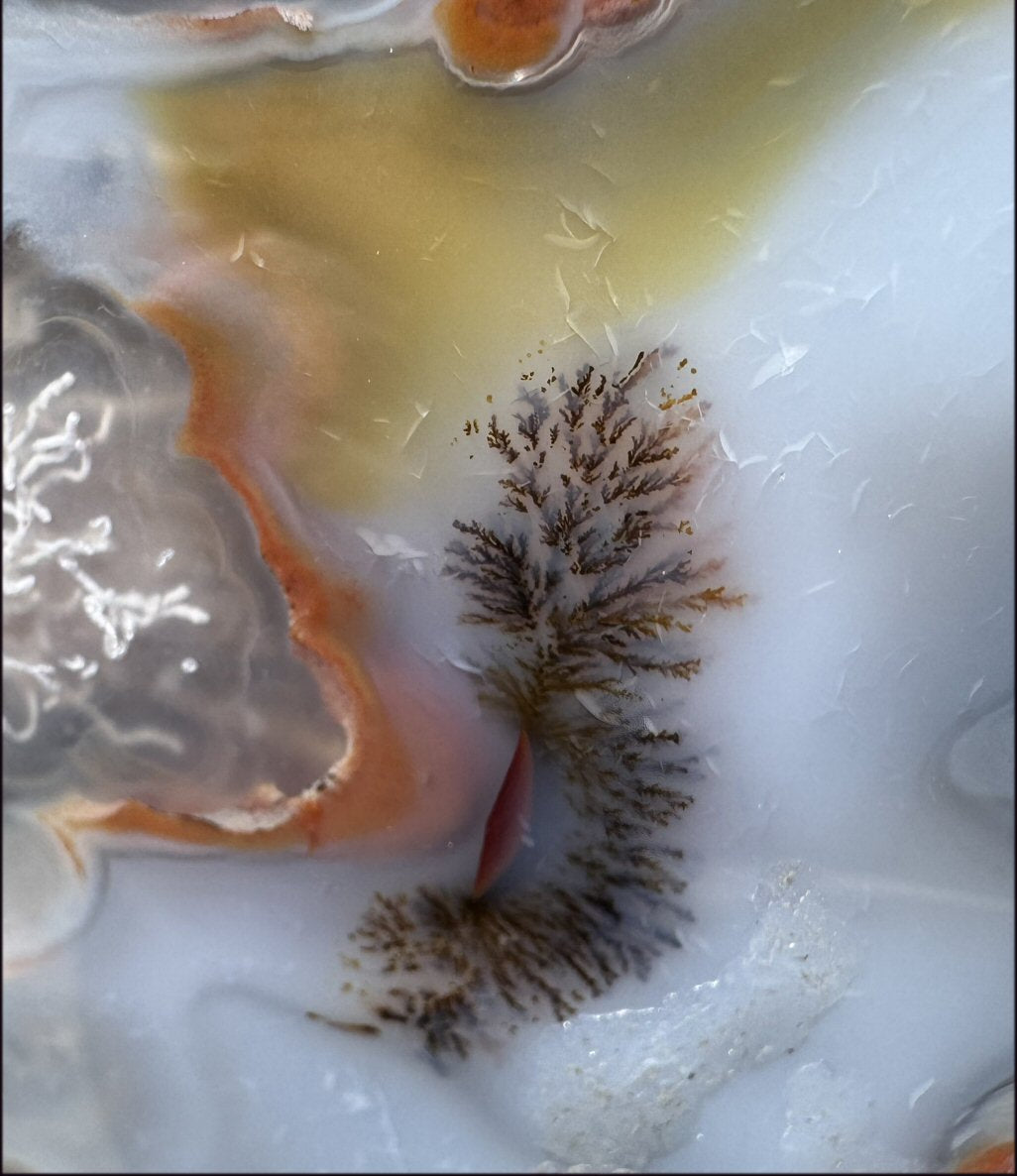 ~OOAK~ LifeSize Plume Agate CRYSTAL SKULL with Vugs, Parallax effect, Fantastic formations - 14lbs+