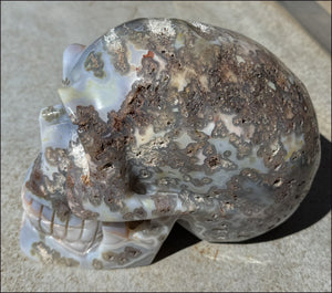 ~OOAK~ LifeSize Plume Agate CRYSTAL SKULL with Vugs, Parallax effect, Fantastic formations - 14lbs+